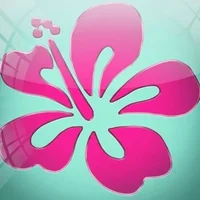 AOT 00 DIVIDER