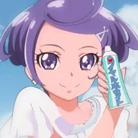 13 DOKIDOKI PRECURE