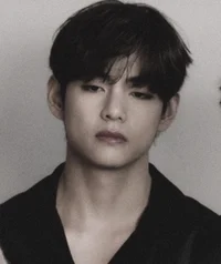 Kim Taehyung Knight