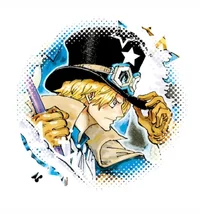sabo outlook