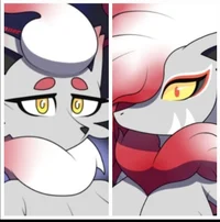 H-Zoroark and zorua