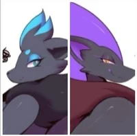 Zoroark and zorua