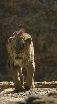 Scar