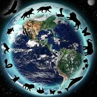 Animal World