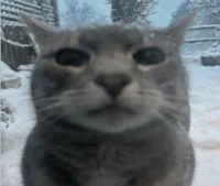 nukii