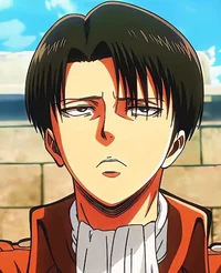 Levi