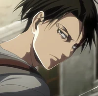 Ackerman Levi