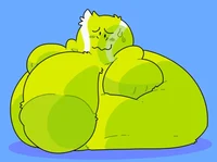 33333