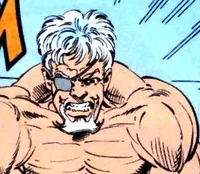 Slade Wilson