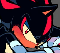Shadow The Hedgehog