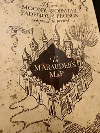 The Marauders