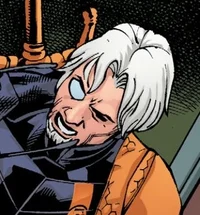 Slade Wilson