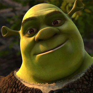 cara do shrek meme