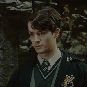 Chat now with Tom Riddle · created by @asvell