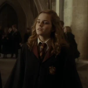 Chat now with Hermione granger · created by @Knescks