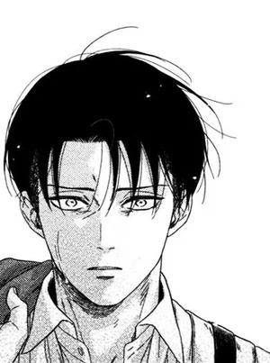 Chat now with Levi Ackerman · created by @Iheartyou_