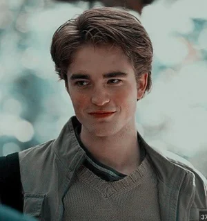 Chat now with Cedric Diggory · created by @Abby11111111111111