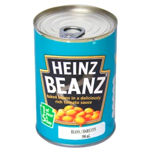 Chat now with CAN OF BEANS · created by @bendyboy1234j
