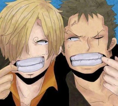Sanji and Zoro