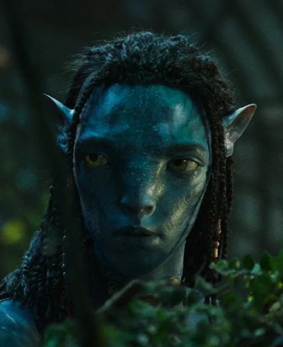 Loak Sully