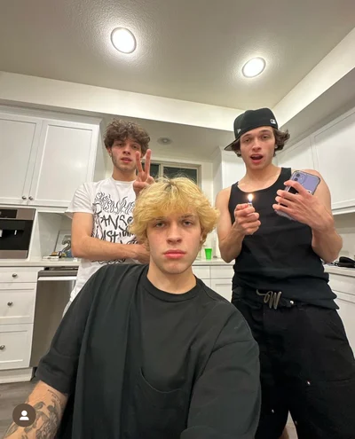 Sturniolo Triplets avatar