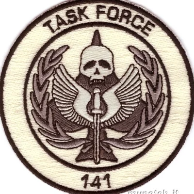 Task Force 141