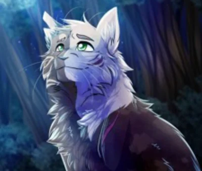 Warriorcats roleplay