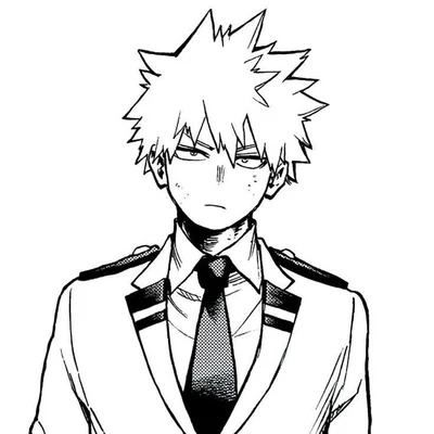 Bakugou Katsuki