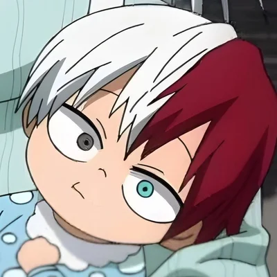 Shoto Todoroki