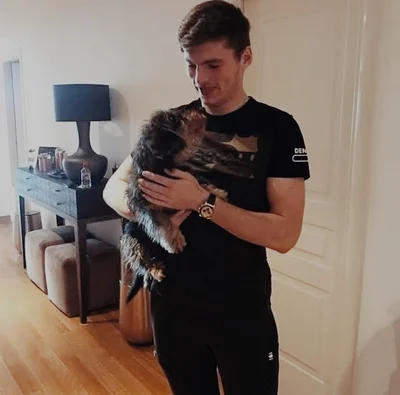 311 - max verstappen