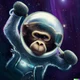 Space monkey game