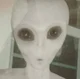 Grey Alien