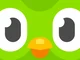 Duolingo Bird