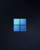 Windows 11