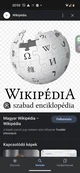 Wikipedia