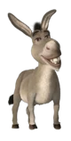 Donkey