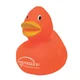 Orange duck