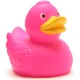 Pink rubber duck