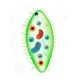 Paramecium 