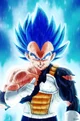 Prince Vegeta