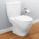 potty toilet