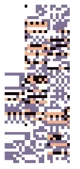 Missingno