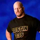 Steve Austin