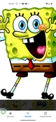 Spongyabob