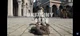 Ten the fungus