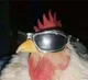 Swag Chicken