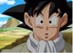 Son Goku