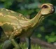 dryosaurus 