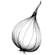 an Onion