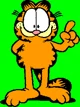 Garfield Cat
